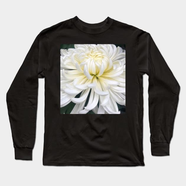 The DeLight of the White Blooming Dahlia Long Sleeve T-Shirt by Photomersion
